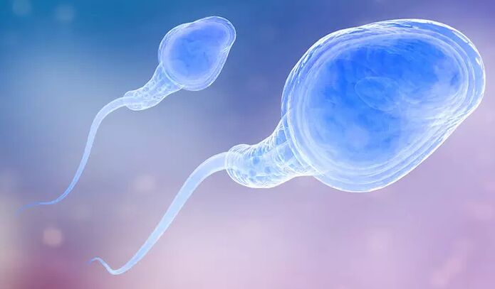Сперма может присутствовать в предэякуляте мужчины. 